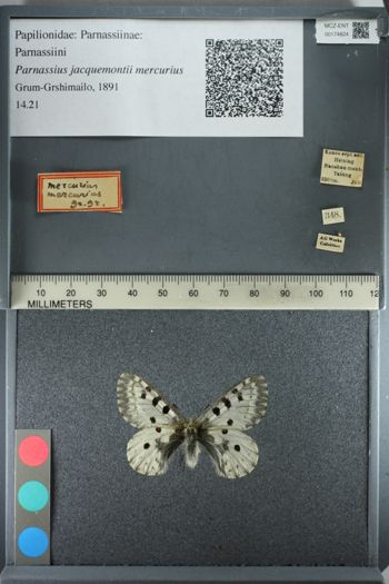 Media type: image;   Entomology 174824